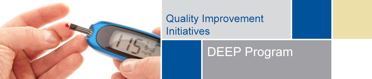 Quality Improvement Initiatives - Diabetes DEEP program